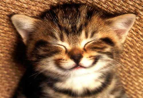 Smile! Smile!