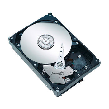 Seagate 320Gb Harddisk - ST3320620AS 