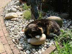 She is very sweet, when asleep