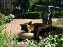 She is very sweet, when asleep