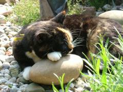 She is very sweet, when asleep