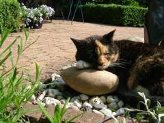 She is very sweet, when asleep