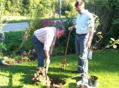Creating the hole for the tree