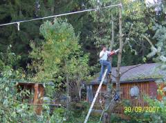 Preparing to cut down the big part... don't be scared