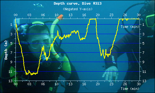 Dive Profile 4 Dive Profile 4
