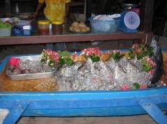 Fresh fish for the bbq
