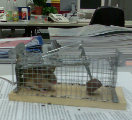 New colleague