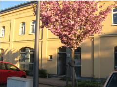 Spring