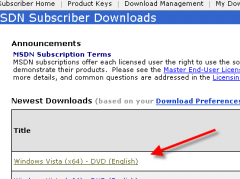 Vista RTM on MSDN Subscriber Downloads
