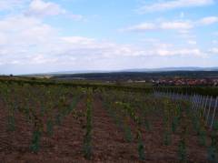 View on the winery, we were very lucky with the weather